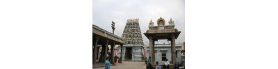 மயிலாப்பூர் மாதவ பெருமாள் 